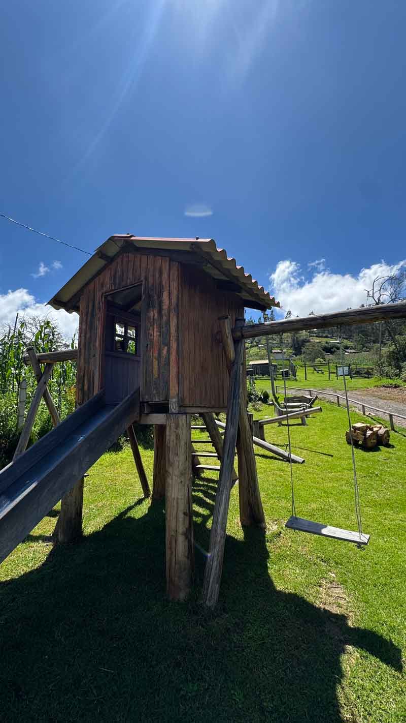 Juegos para niños en el jardín