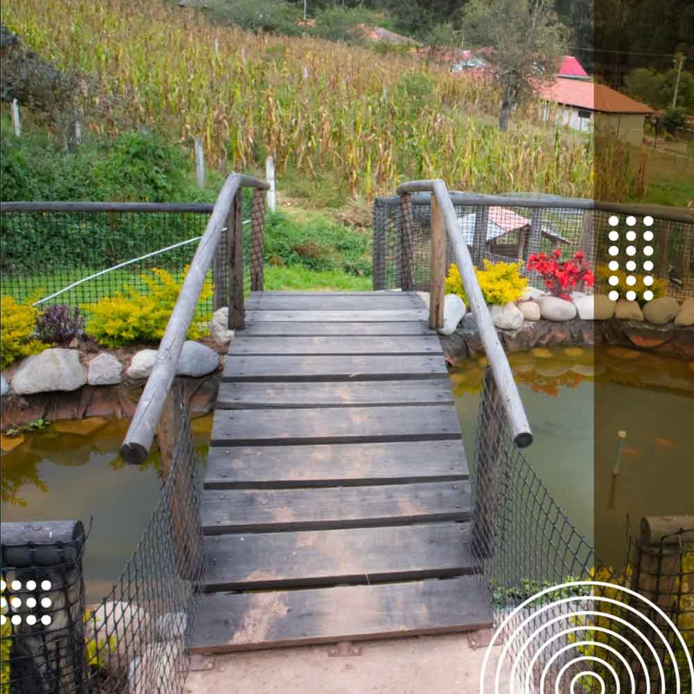 Puente de madera sobre el estanque