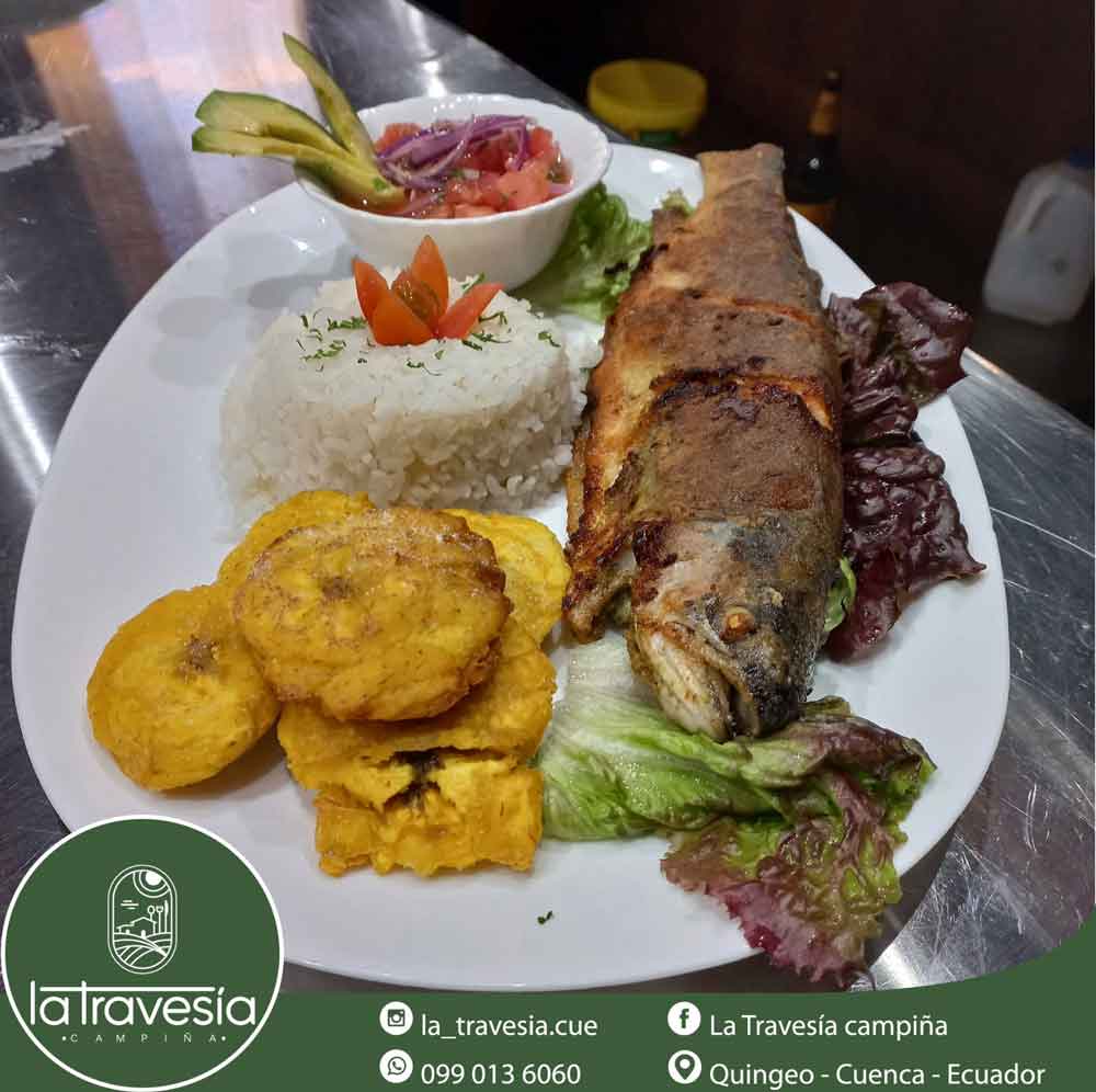 Trucha frita con patacones y ensalada