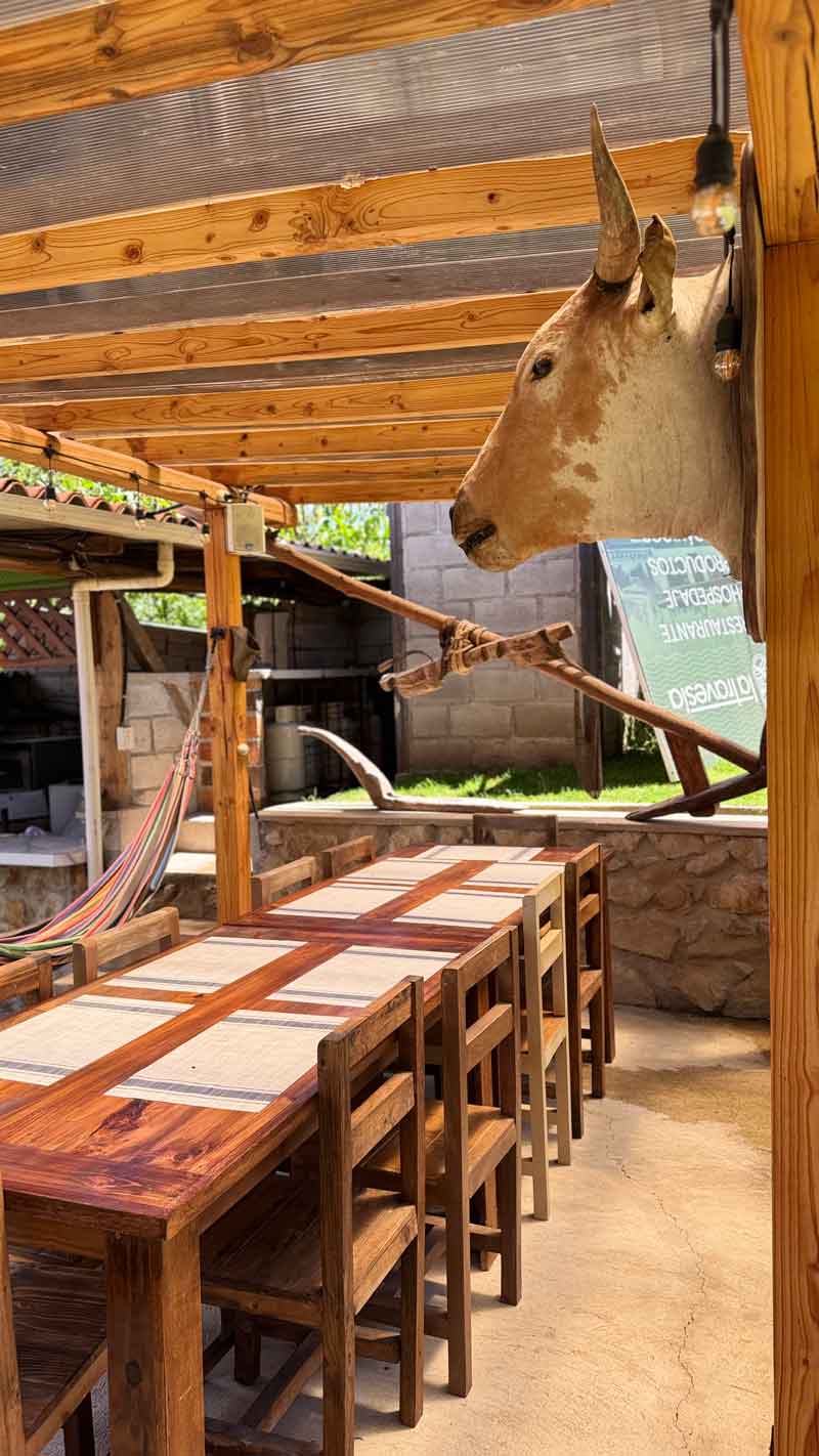 Comedor rústico con mesas de madera